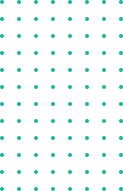 shape-12-1